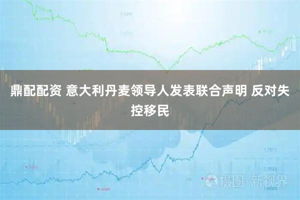 鼎配配资 意大利丹麦领导人发表联合声明 反对失控移民